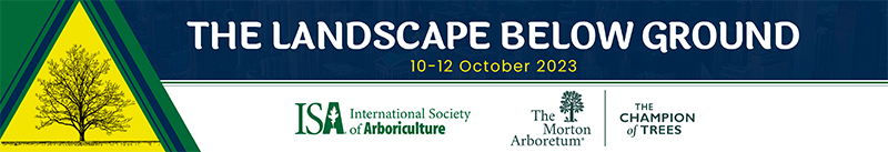 The Landscape Below Ground The Landscape Below Ground